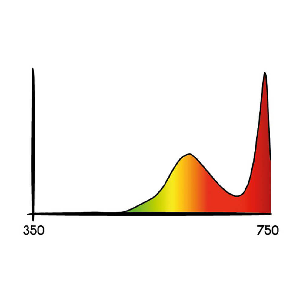 Growversand-Secret-Jardin-Cosmorrow-COL20IR-Spektrum-1000x1000