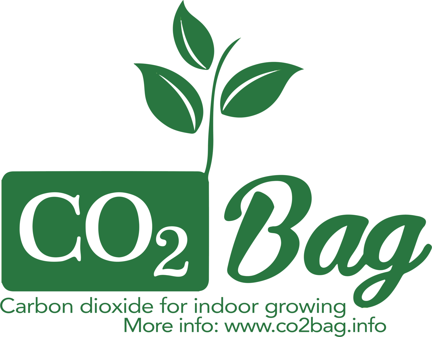 Logo Co2 Bag
