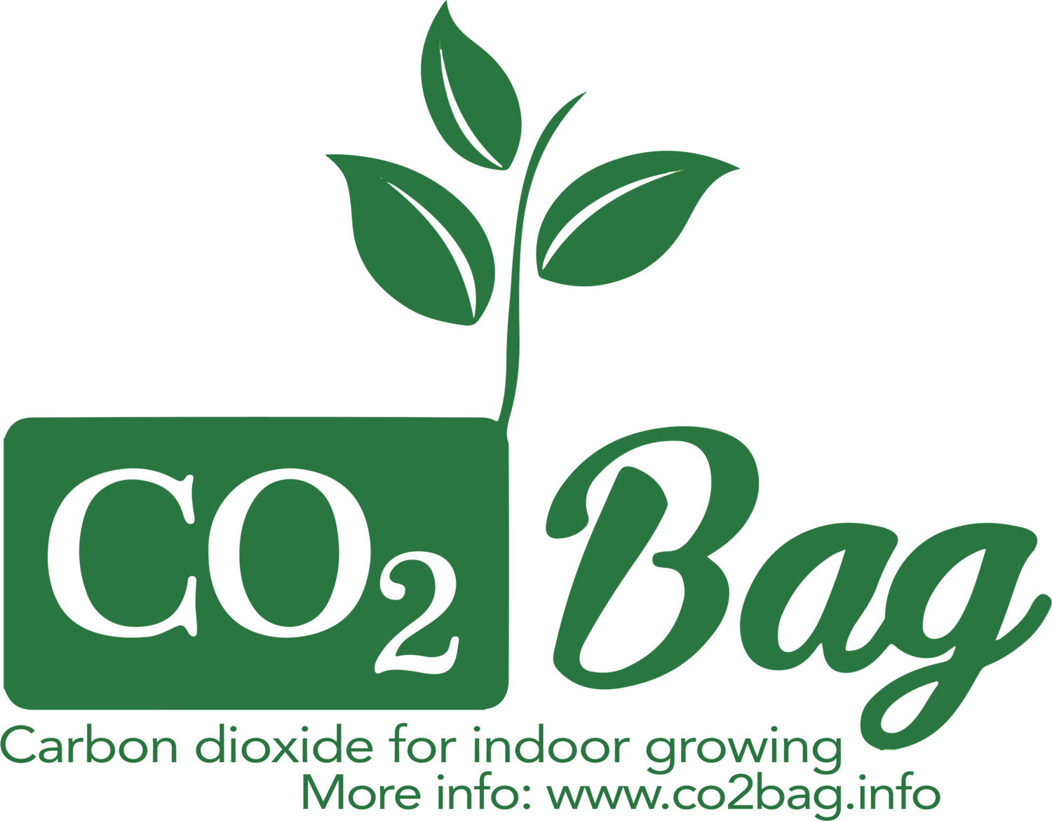 Co2 Bag Co2 Bag