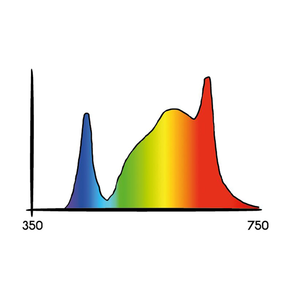 Growversand-Secret-Jardin-Cosmorrow-COL20BL-Spektrum-1000x1000