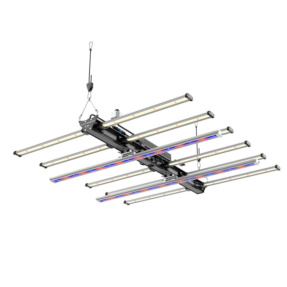 F.O.G BLACK SERIES 600 - Deine Schweizer High-Tech LED für maximale Erträge Growversand F.O.G Black Series 600 1