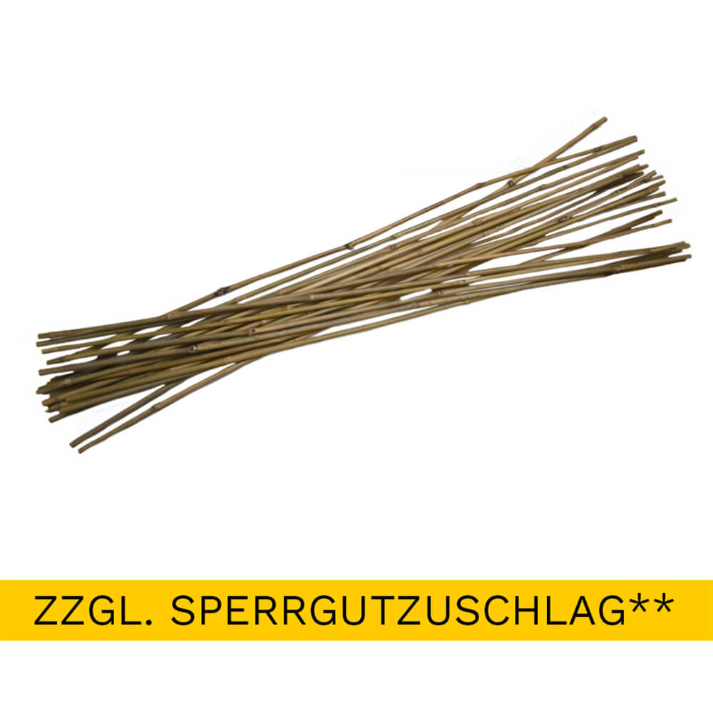 Bambusstab 120 cm Set Bambusstab 120 cm Set