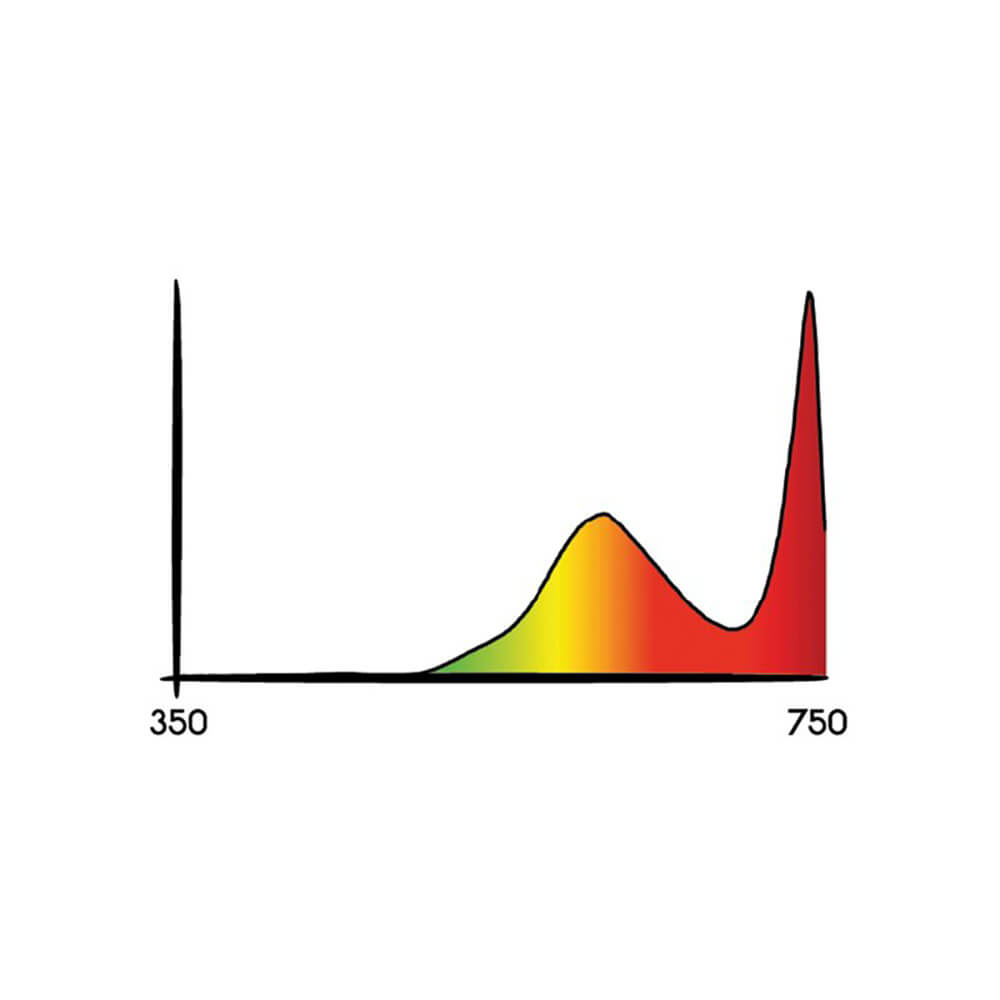 Growversand-Secret-Jardin-Cosmorrow-COL40IR-Spektrum-1000x1000