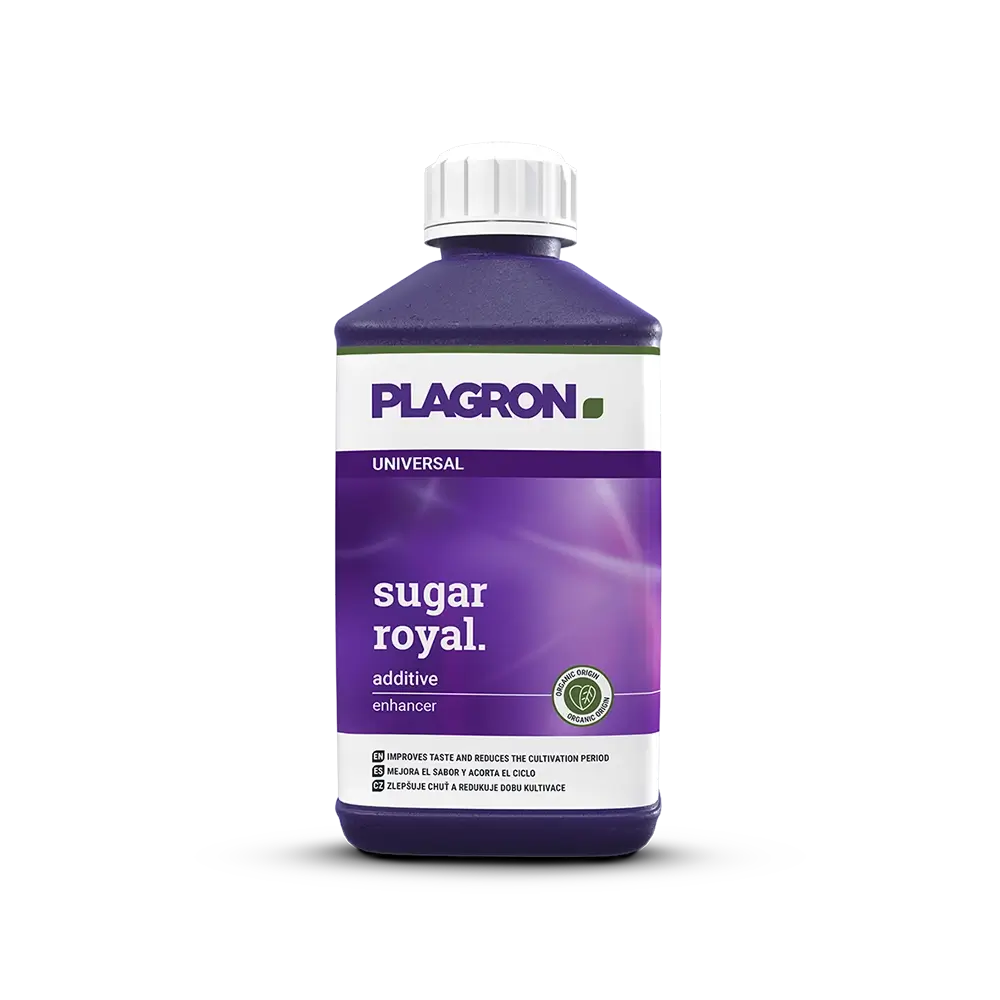 Sugar Royal 500ml Flasche