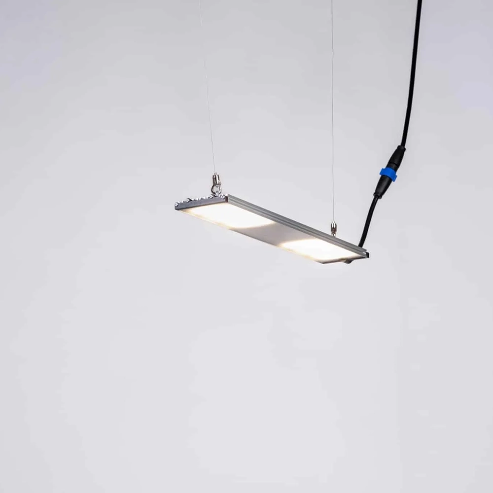 SANlight Stixx 2-60 47W SANlight Stixx 2-60 mit 47 Watt an Seilaufhängung, eingeschaltet