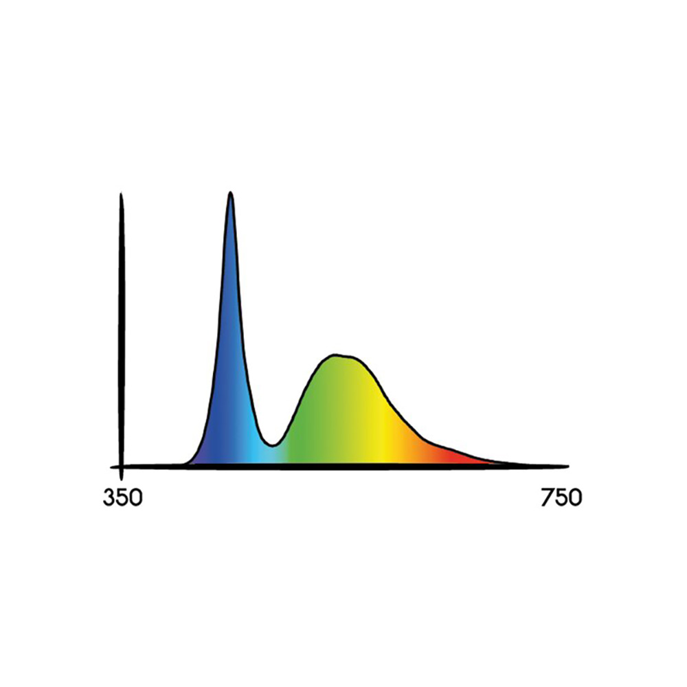 Growversand-Secret-Jardin-Cosmorrow-COL4065-Spektrum-1000x1000