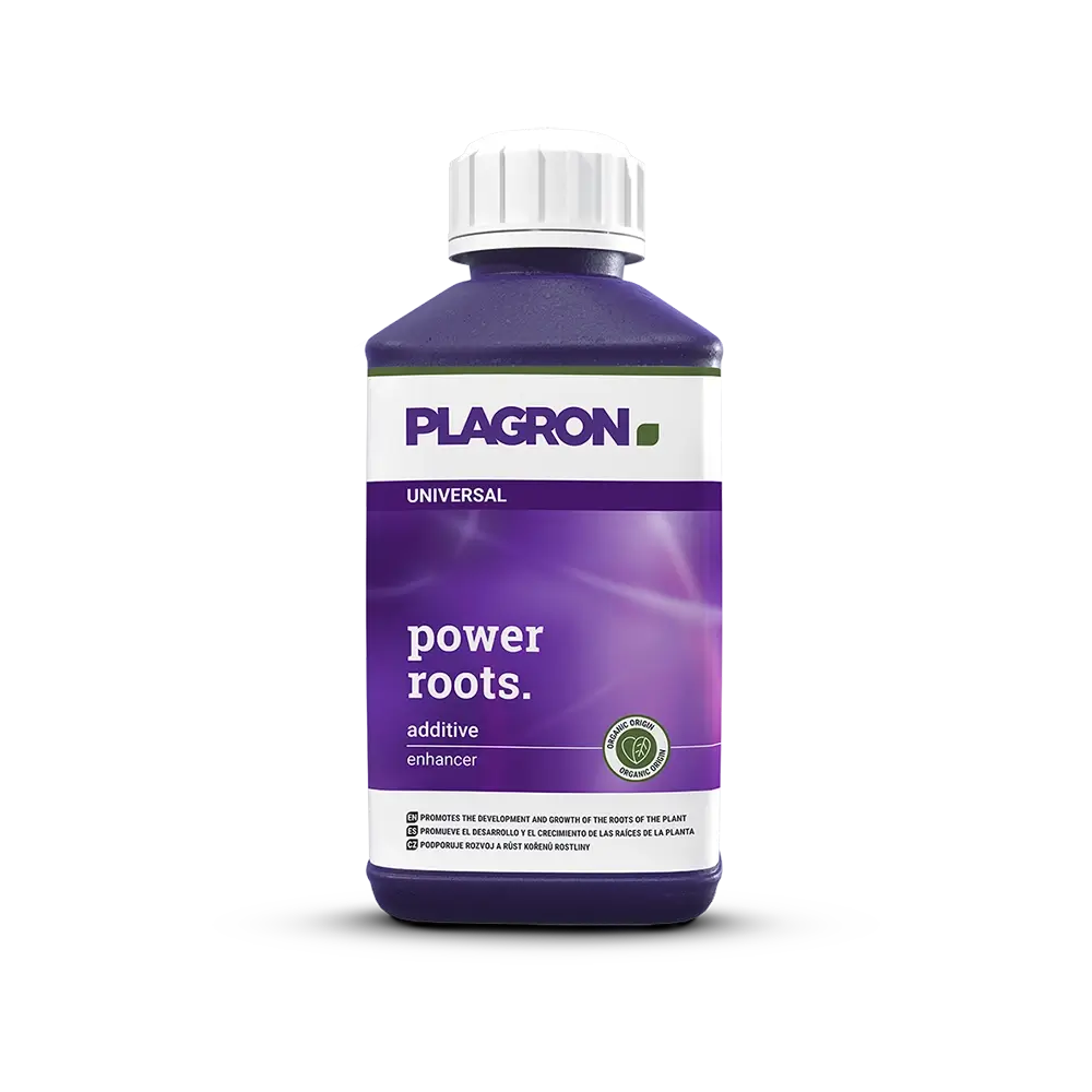 Plagron Power Roots 250ml Flasche