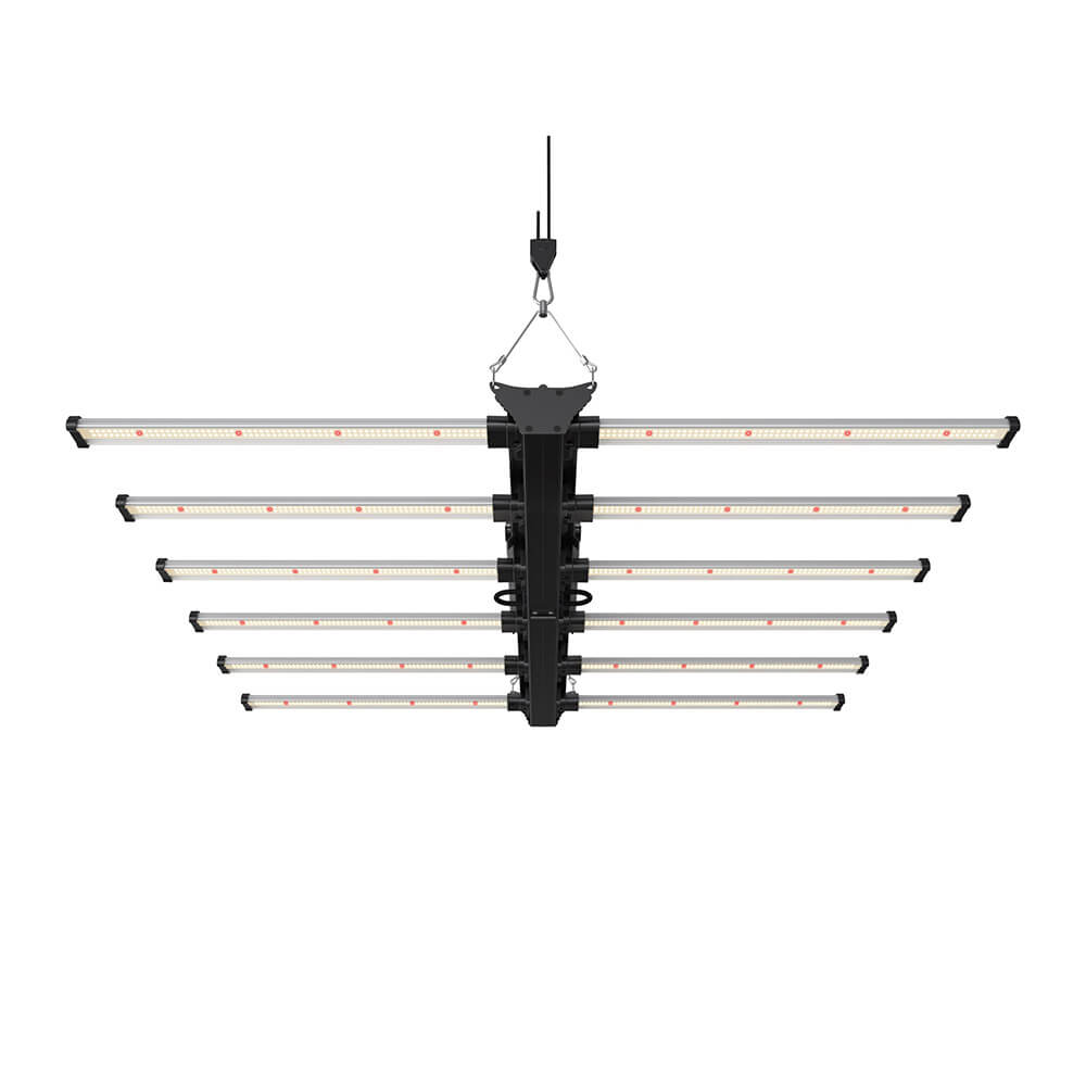 Growversand F.O.G Black Series 600 5