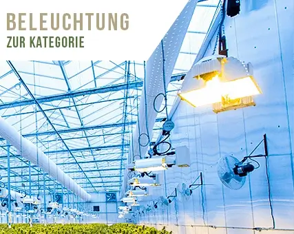 Growlampen Beleuchtung Jede Pflanze ins richtige Licht rücken egal ob mit LED oder NDL Lampen