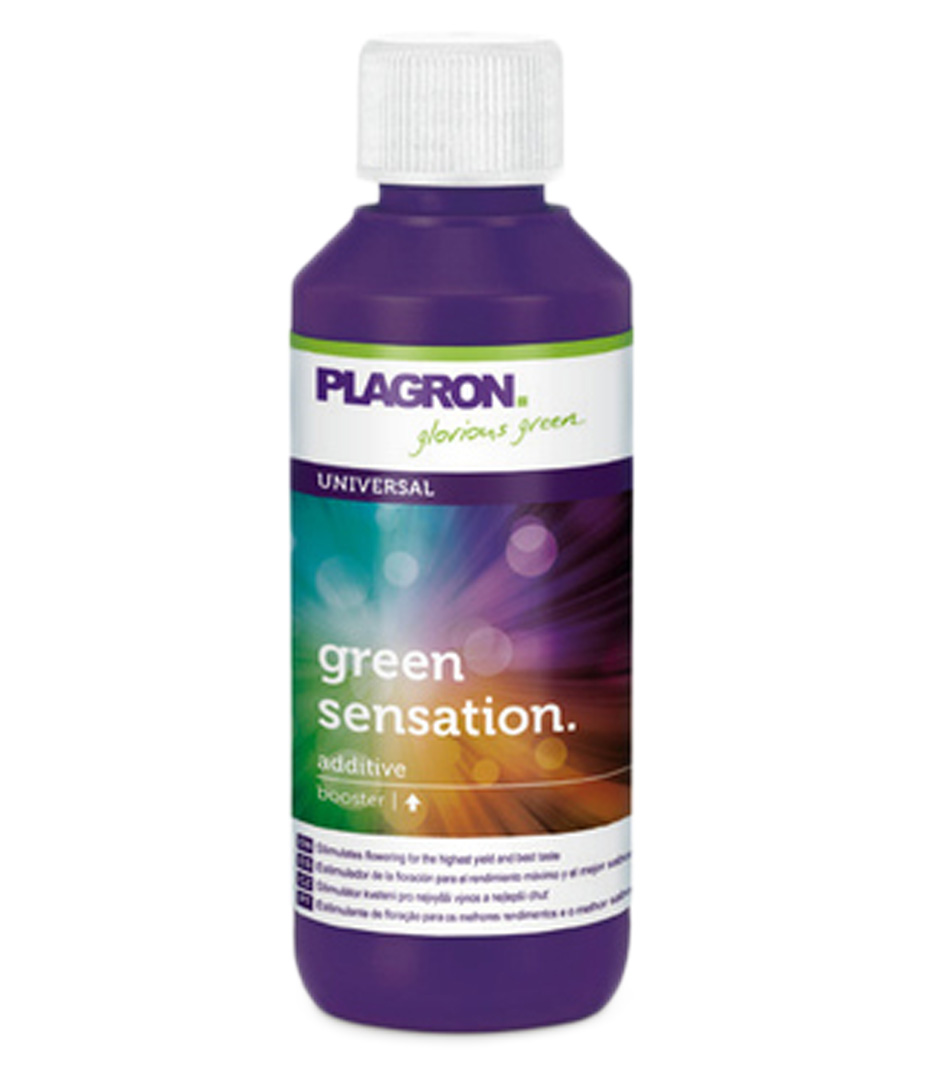 Plagron Green Sensation 100 ml Growversand plagron green sensation 100ml