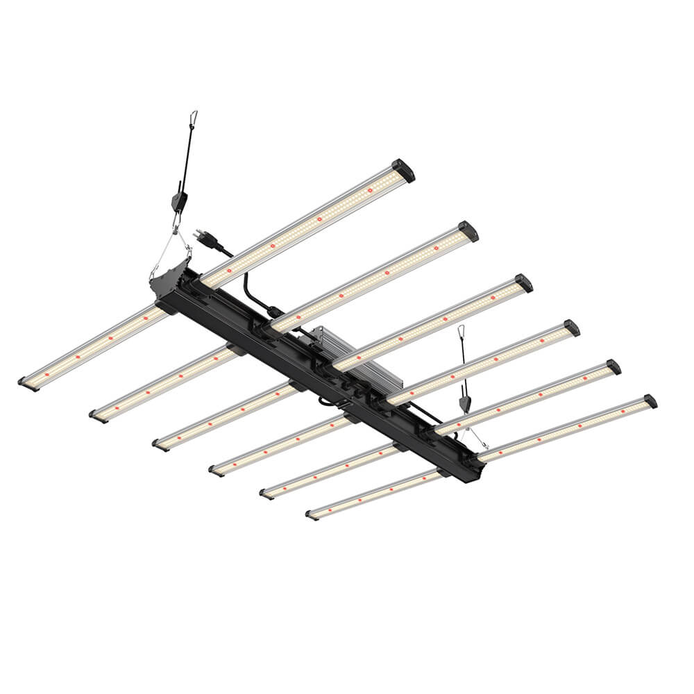 Growversand F.O.G Black Series 600 2