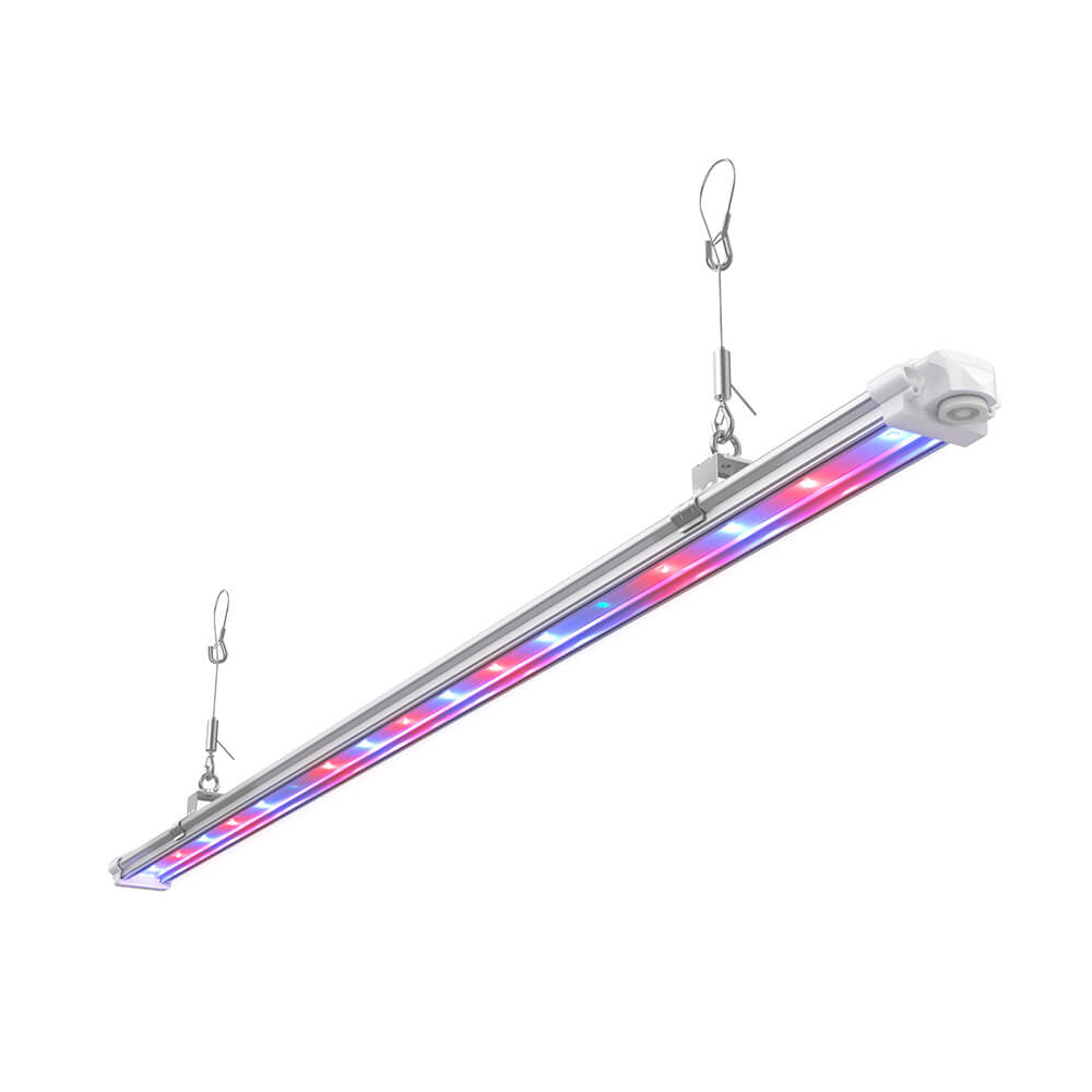 Growversand F.O.G Suspension Boost 2