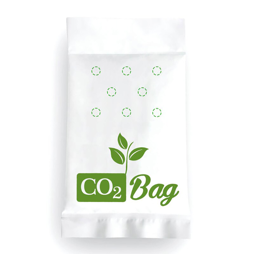 Co2 Bag - bis 5m² - Professionelle CO₂-Anreicherung für optimales Pflanzenwachstum