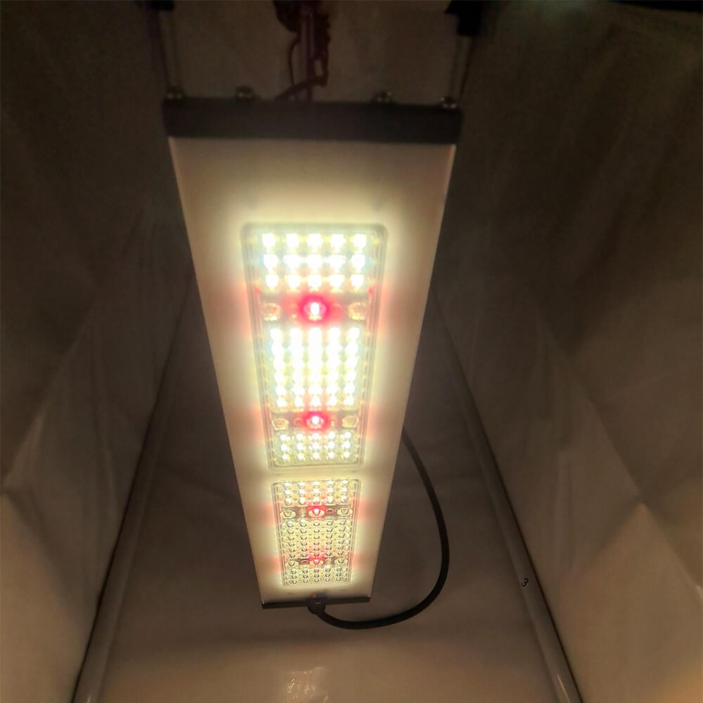 SANlight Stixx 50 50W Unterseite Leuchtende Unterseite der SANlight Stixx 50 mit weißen und roten LEDs