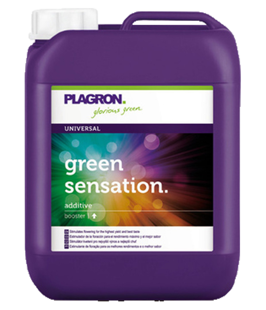 Plagron Green Sensation 5 l Growversand plagron green sensation 5l