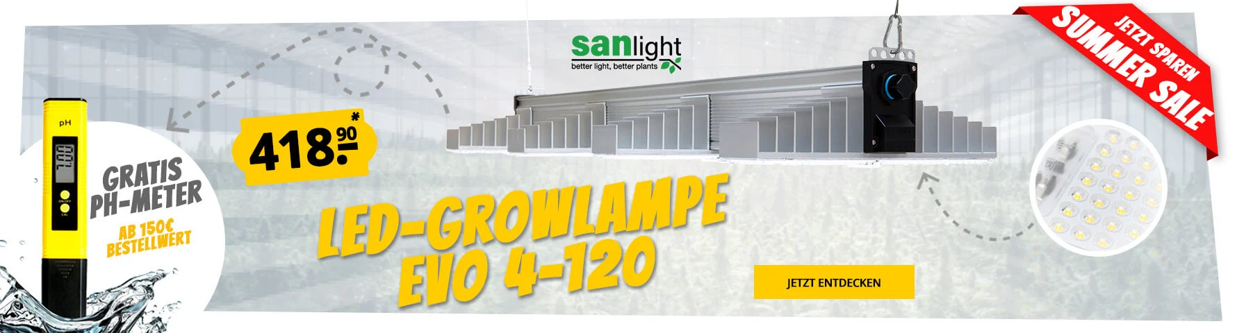 grow startbanner growversand summer