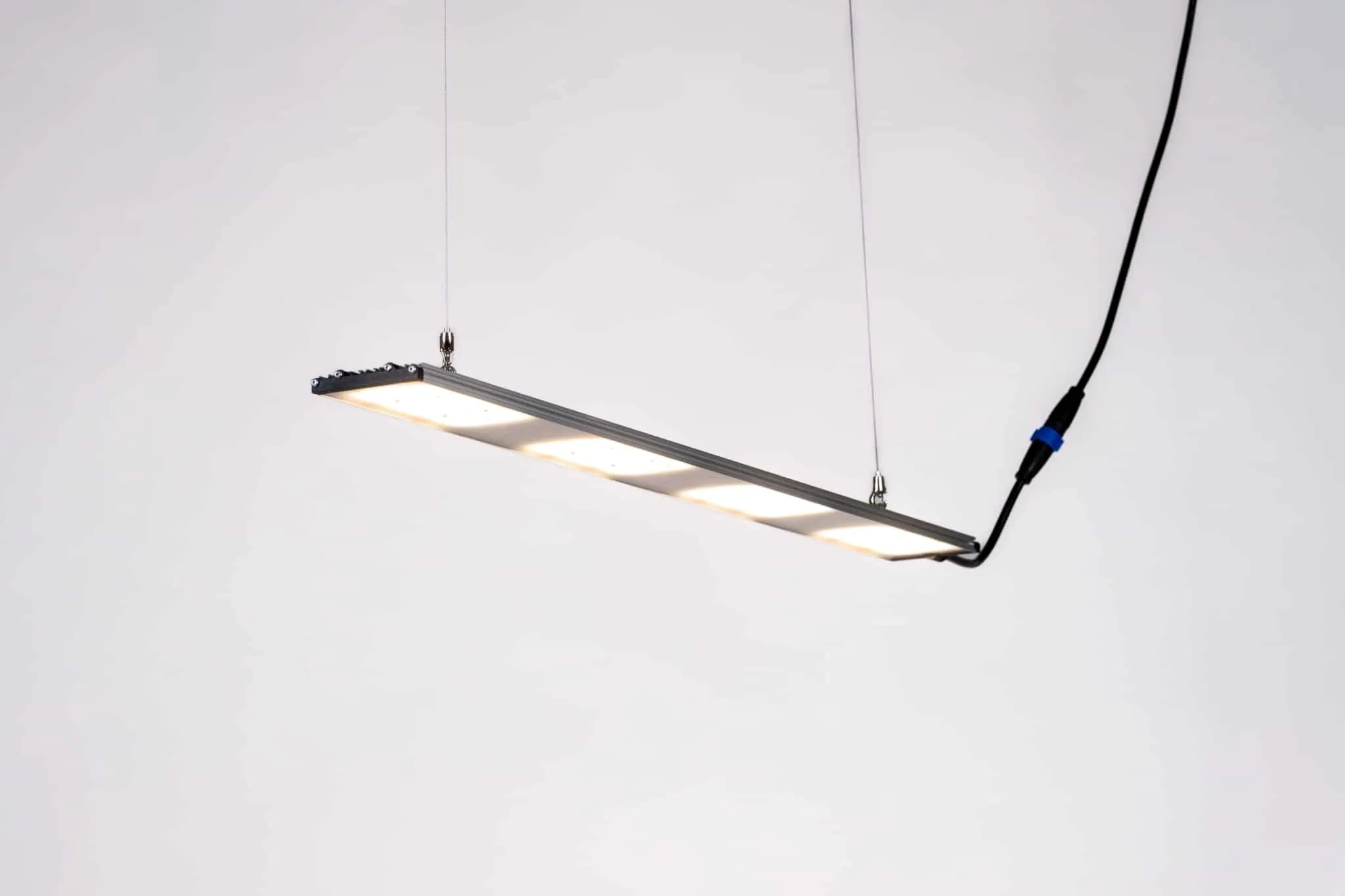 SANlight Stixx 4-100 94W SANlight Stixx 4-100 mit 94 Watt an Seilaufhängung, eingeschaltet