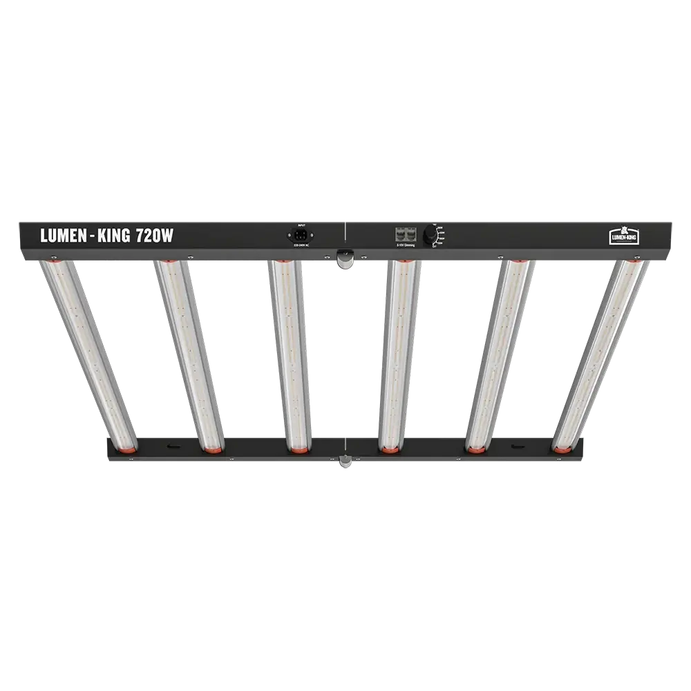 Lumen King LED 720 W Frontansicht Lumen King 720 W LED Leuchte von vorn, sechs Leuchtbalken hängen am schwarzen Rahmen