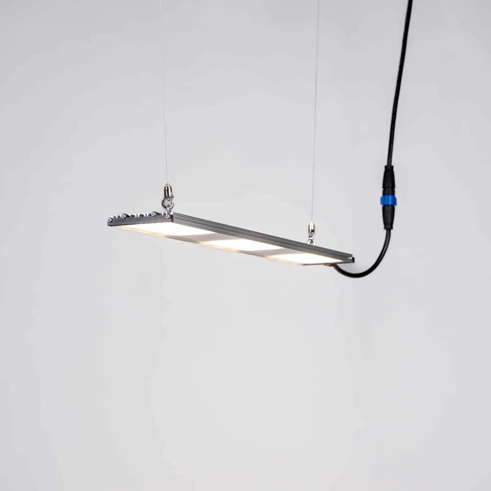 SANlight Stixx 3-80 70W SANlight Stixx 3-80 mit 70 Watt an Seilaufhängung, eingeschaltet